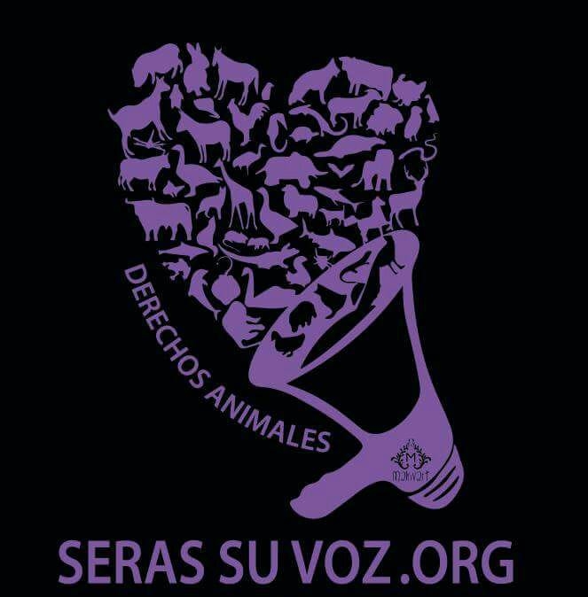 Sers su voz