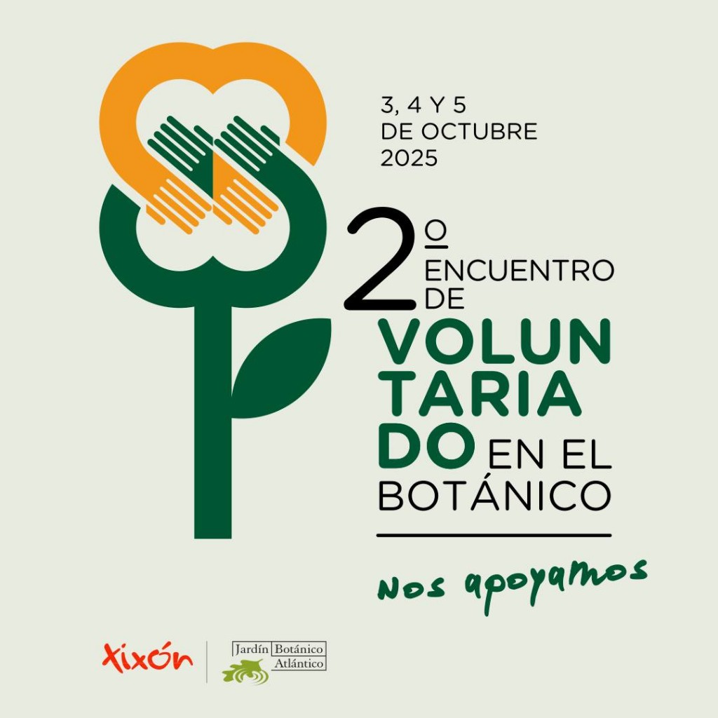 2 encuentro voluntariado
