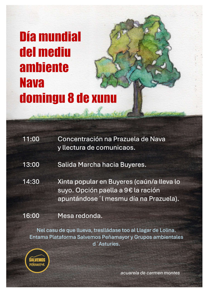 Da mediu ambiente