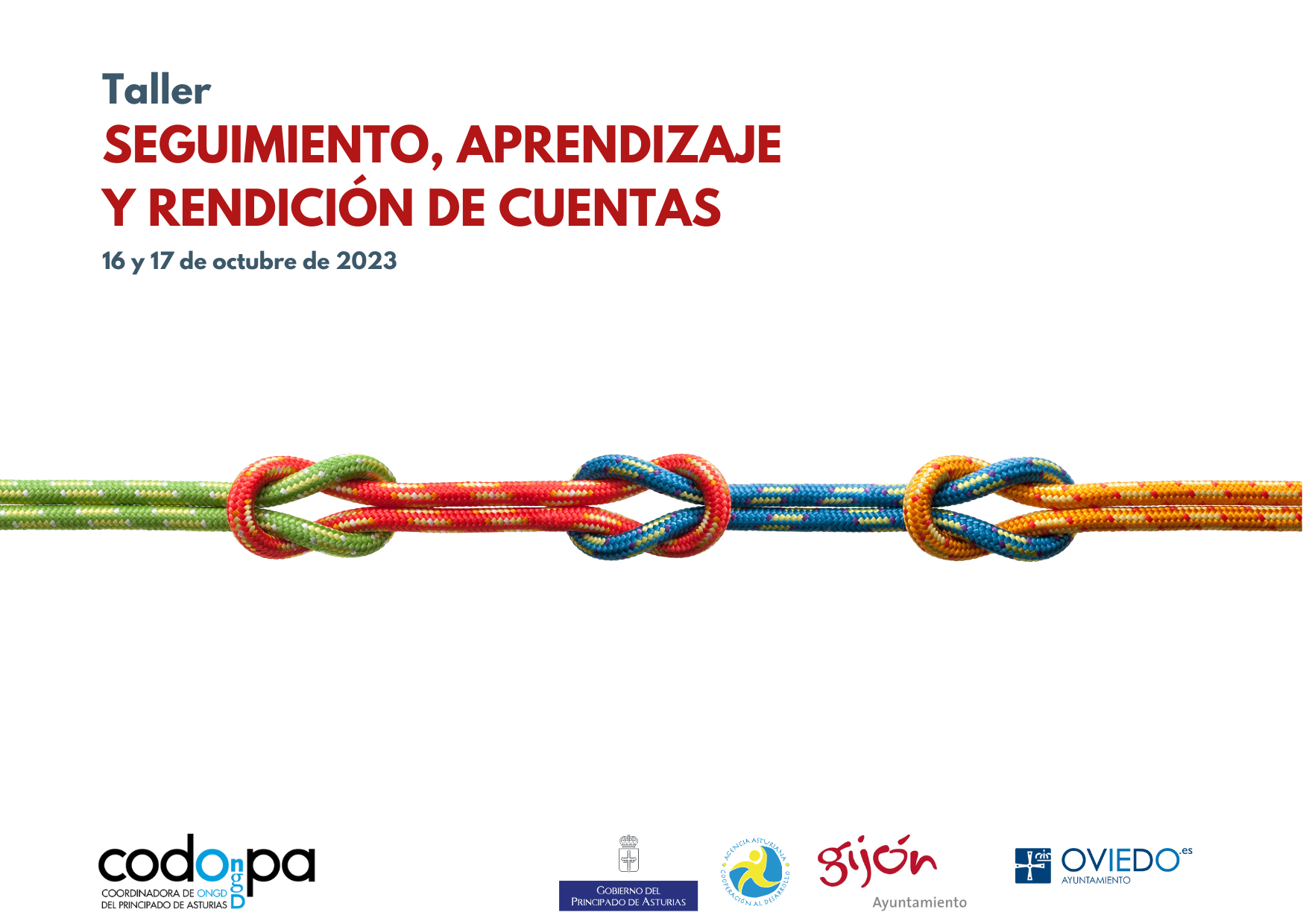 taller evaluacion ongd
