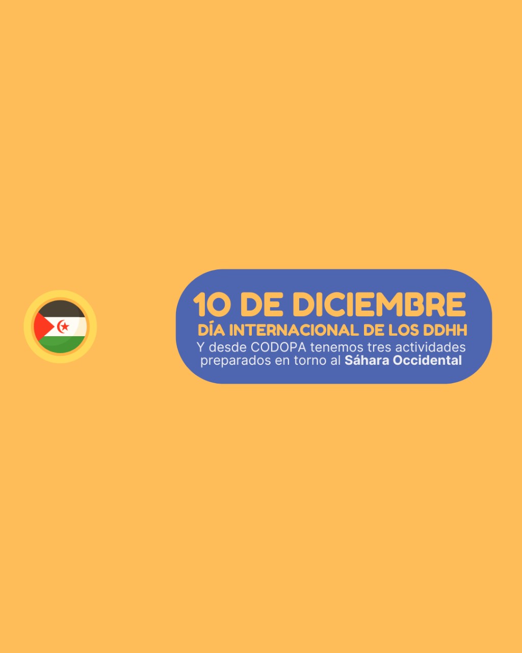 10 Diciembre Derechos Humanos Shara