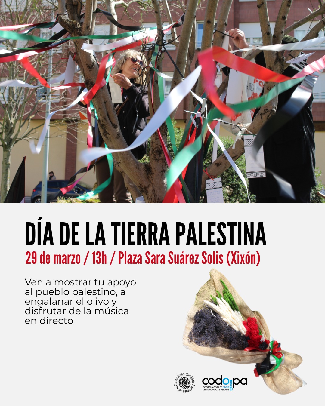 D�a de la tierra palestina