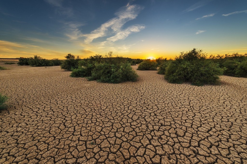 desertificacin