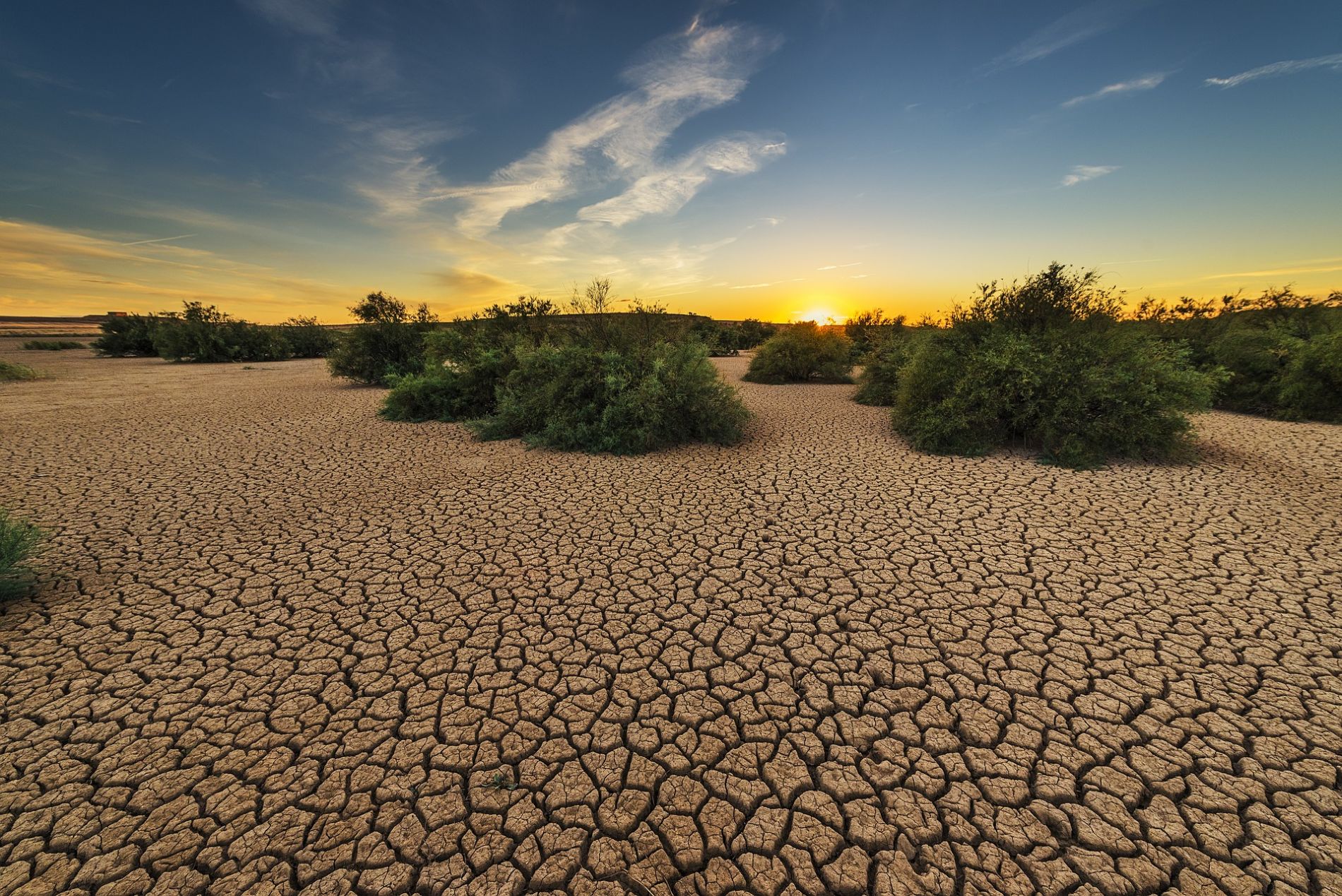 desertificacion