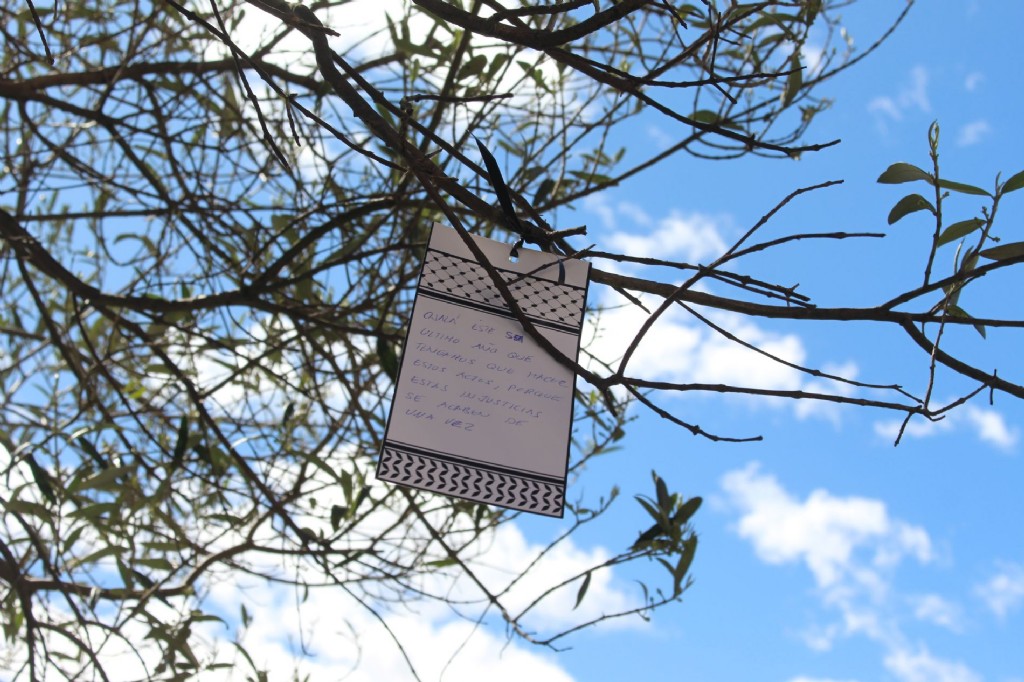 RUTA OLIVOS