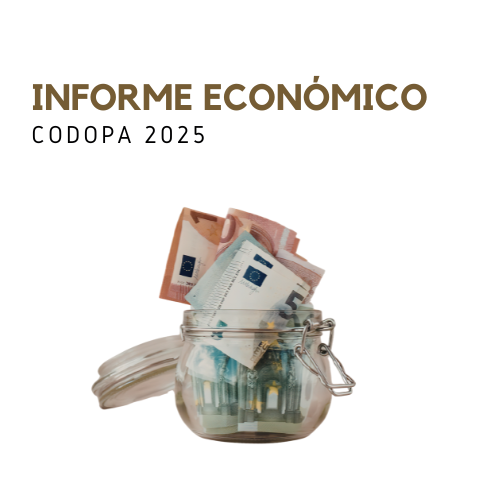 INFORME ECONOMICO 2025