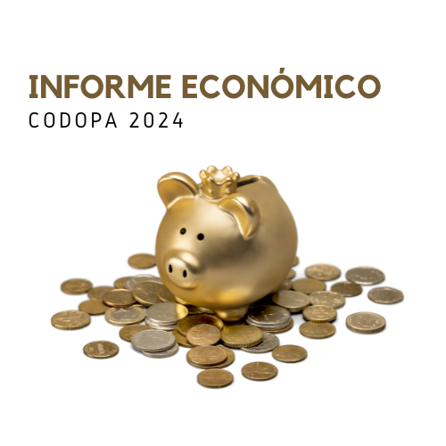 INFORME ECON 24