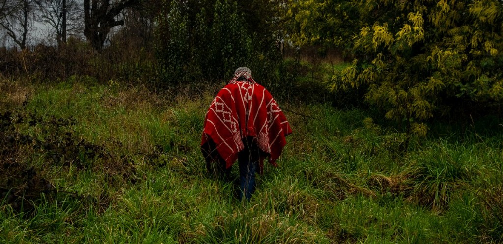 BOLET�N N�89-PPII