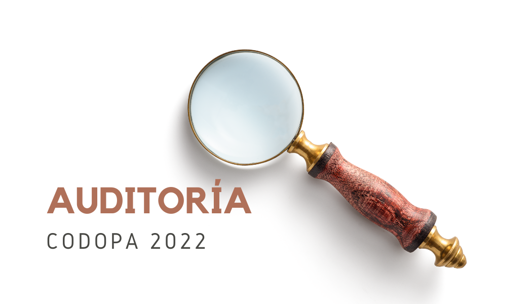 Auditoria 2022