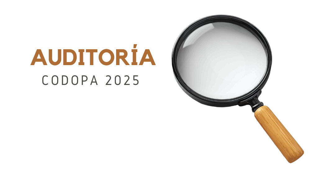 AUDITORIA CODOPA 2025