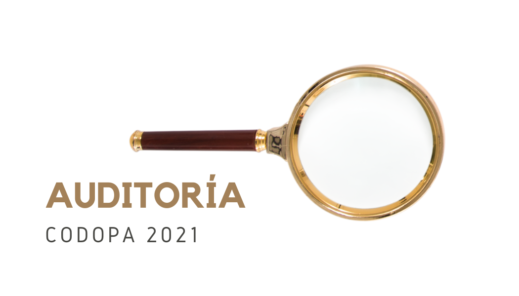 Auditoria 2021