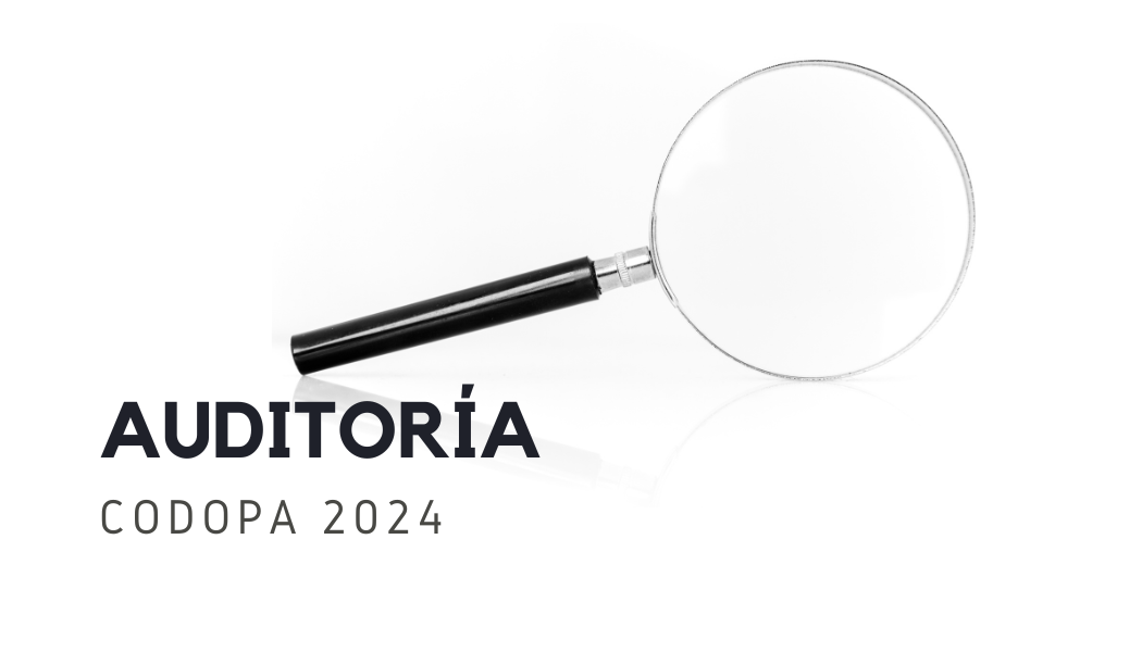 AUDITORIA 2024