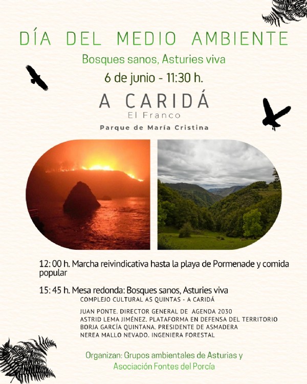D�a-medio-ambiente