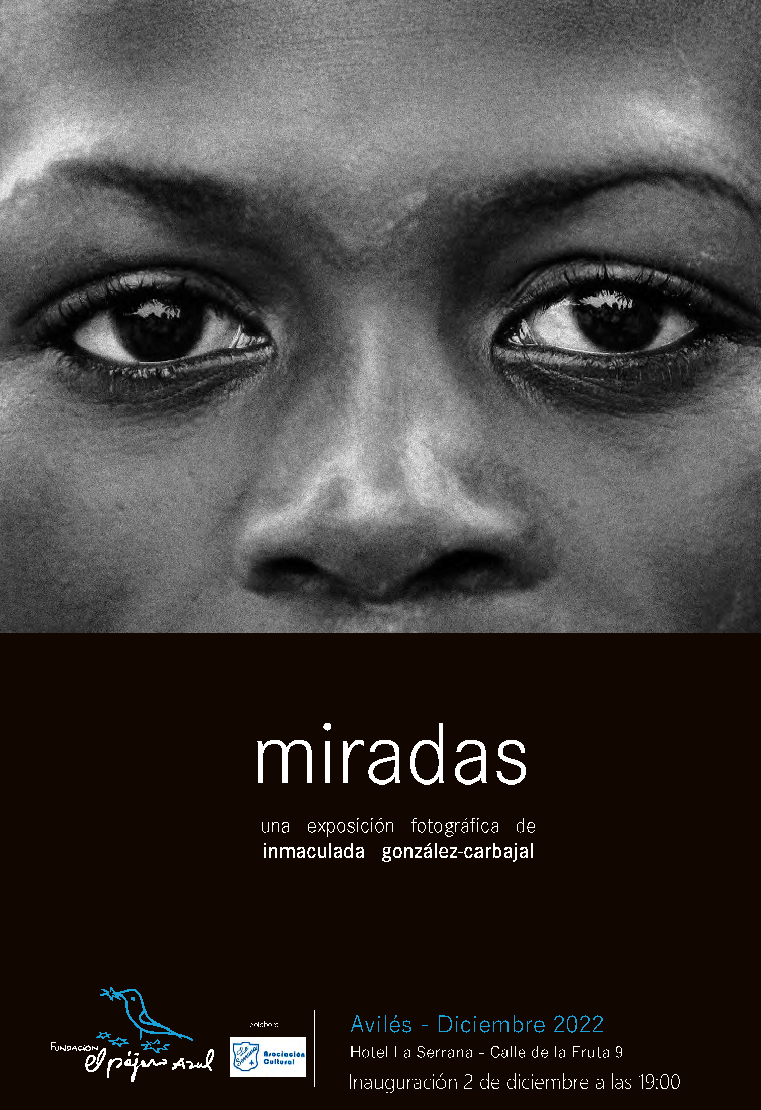 cartel exposicion miradas