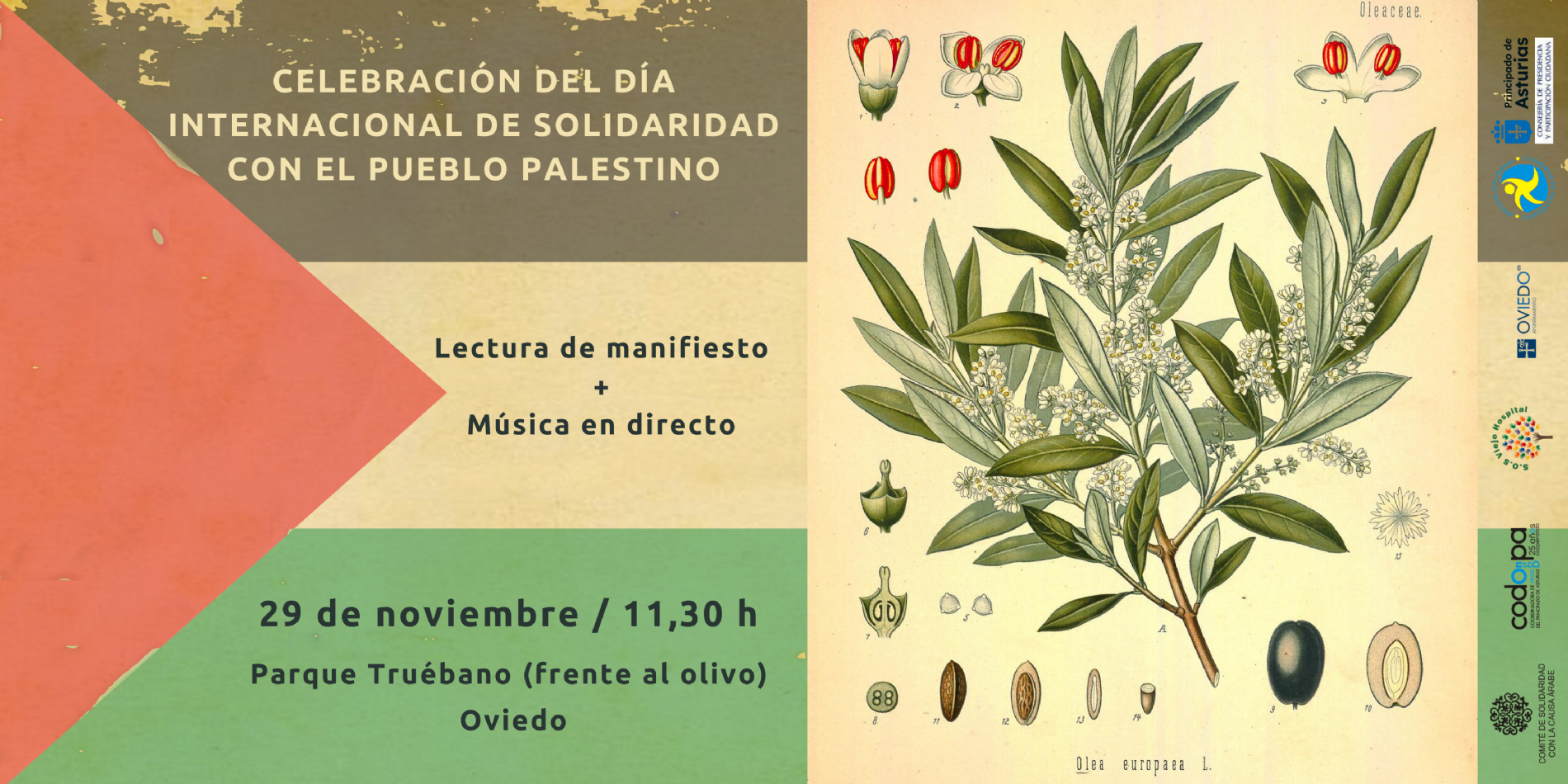 cartel olivo