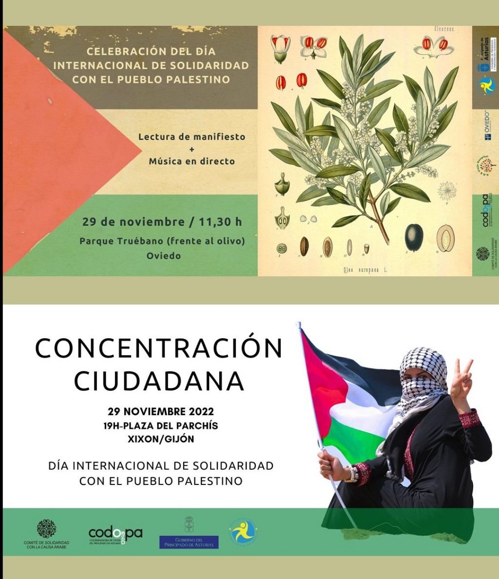 carteles29n